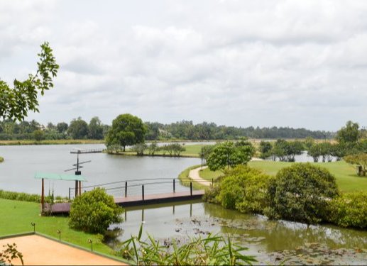 Exchange Date Time - Photo Shoot - Example