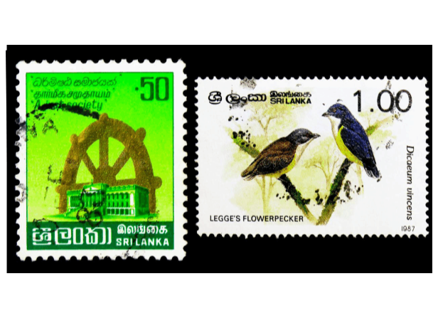 Test home and garden to electronics